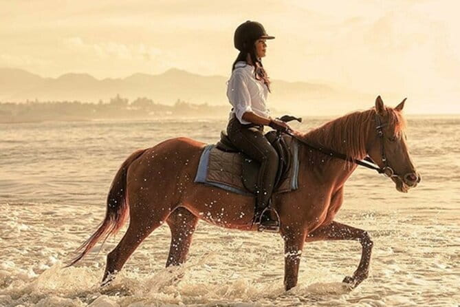 Bali Horse Riding, Waterfall, Rice Terrace, Lunch - All Inclusive - Key things to know before you book