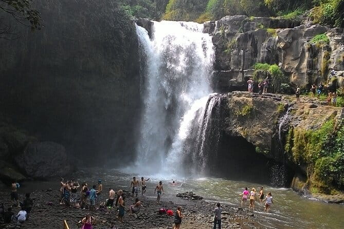 Bali Horse Riding, Waterfall, Rice Terrace, Lunch - All Inclusive - Coffee, fruit, and tropical plants at Uma Pakel