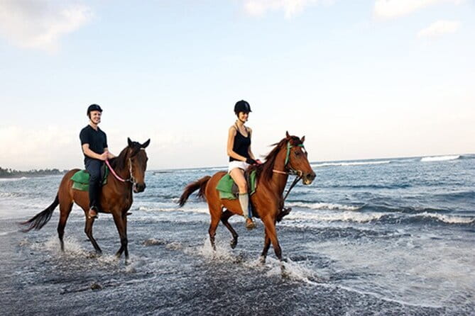 Bali Horse Riding, Waterfall, Rice Terrace, Lunch - All Inclusive - Tegalalang’s rice terraces and working countryside