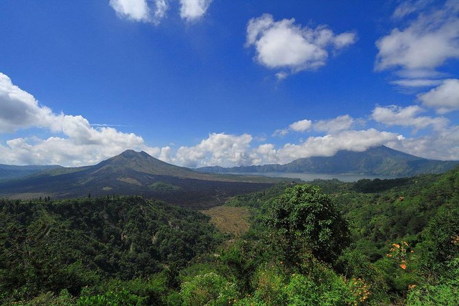 Bali Iconic Tour with Buffet Lunch and Attraction Tickets - The driver and guide can shape the whole day