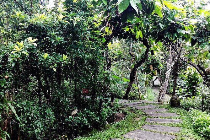 Bali in 1-Day : Rice Terrace, Volcano, Tanah lot - All Inclusive - Choosing your craft village in one hour