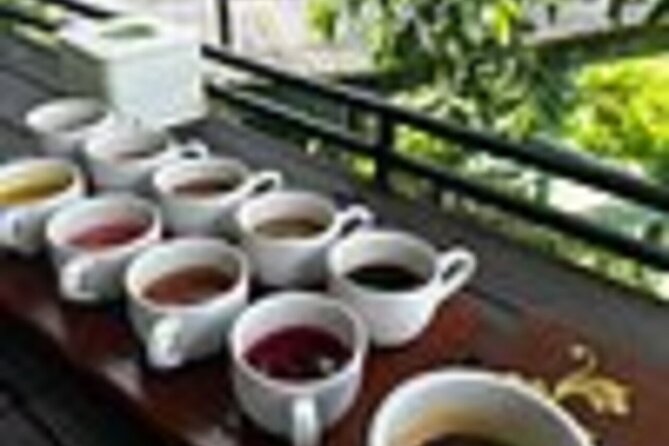 Bali in 1-Day : Rice Terrace, Volcano, Tanah lot - All Inclusive - Uma Pakel and a look at coffee production