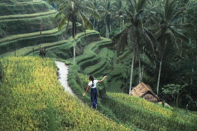Bali Instagram Tour from Your Hotel (Private & Full-day) - Rice terraces, temples, and the Ubud side of Bali