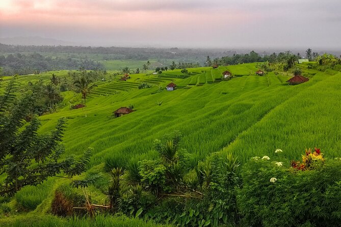 Bali Instagram Tour - Lempuyang Bali Gate of Heaven - Is $69.69 good value?