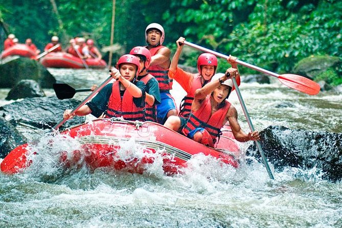 Bali Jungle Swing and White Water Rafting All Inclusive - What this Bali combination tour actually offers