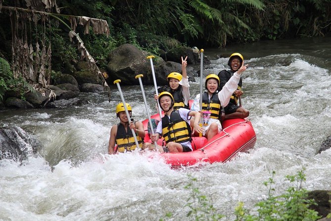 Bali Jungle Swing and White Water Rafting All Inclusive - Lunch: useful, included, and fairly basic