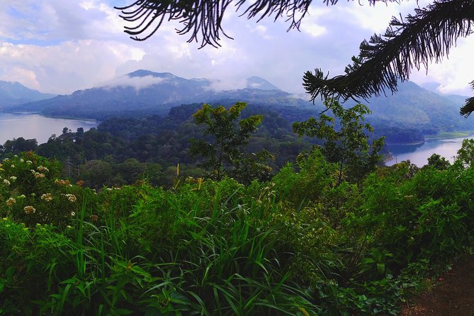 Bali Jungle Trekking and Lake Canoeing Tour - Hiking Down to Buyan Lake