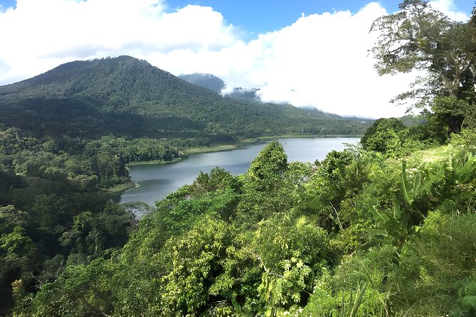 Bali Jungle Trekking in Beautiful Rainforest - The private ride from Seminyak or Ubud
