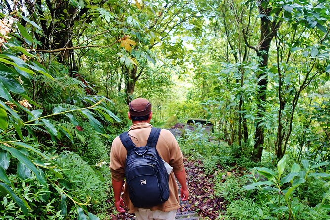 Bali Jungle Trekking in Beautiful Rainforest - Is $80 a fair price?