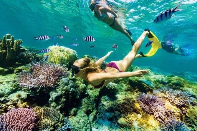 Bali Lempuyang Temple with Blue Lagoon Snorkeling - What makes Blue Lagoon good for beginners