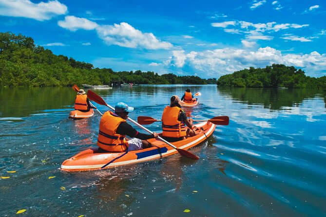 Bali Mangrove Canoeing Tour - Is $61.54 a fair price?