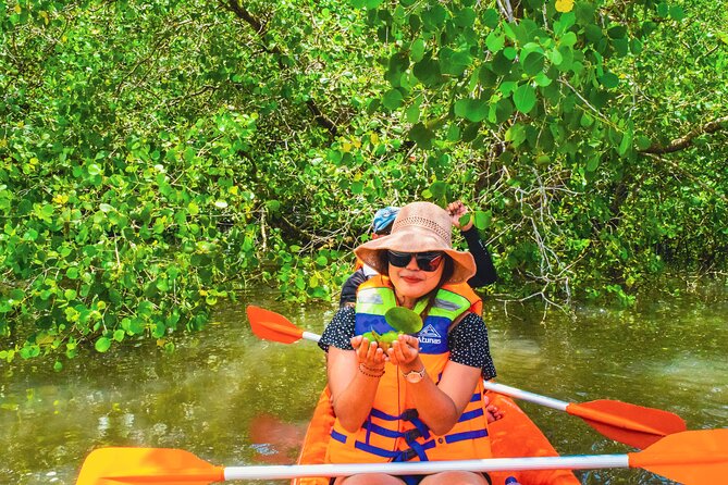 Bali Mangrove Canoeing Tour - Entering the forest by canoe