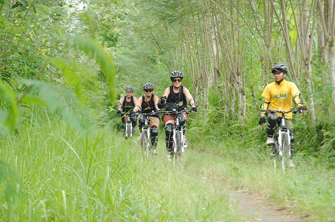 Bali Mountains and Villages Cycling Tour - Starting in Bayung Gede Kintamani