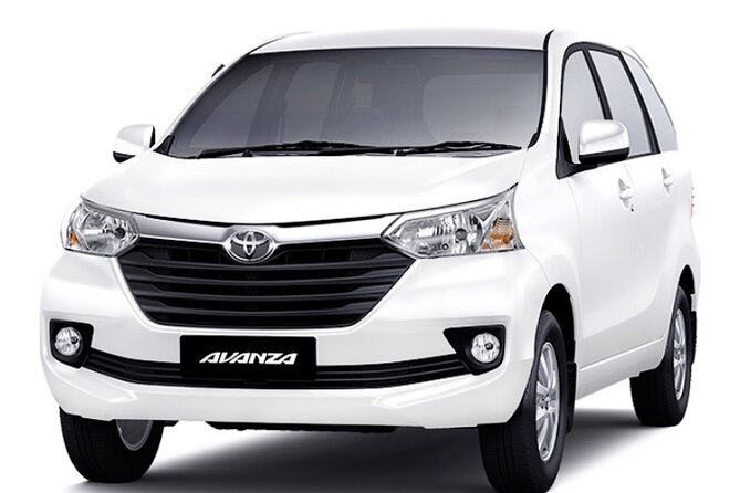 Bali Ngurah Rai International Airport Pickup to Ubud Area - A private car for the full journey to Ubud
