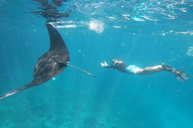 Bali Nusa Penida and Private Snorkeling (Manta Bay, Gamat, Wall) - Key points to know before booking