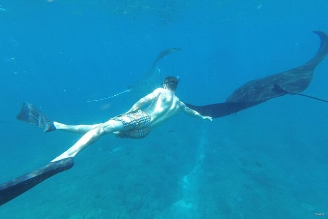 Bali Nusa Penida and Private Snorkeling (Manta Bay, Gamat, Wall) - Kelingking Beach in 30 minutes
