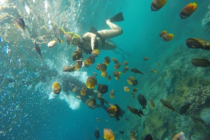 Bali Nusa Penida and Private Snorkeling (Manta Bay, Gamat, Wall) - Broken Beach, or Pasih Uug