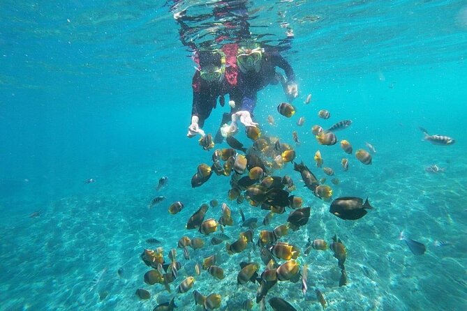 Bali Nusa Penida and Private Snorkeling (Manta Bay, Gamat, Wall) - Manta Bay: the main water attraction