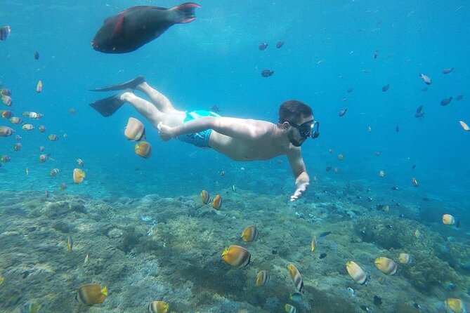 Bali Nusa Penida and Private Snorkeling (Manta Bay, Gamat, Wall) - Gamat Bay and Wall Bay Point