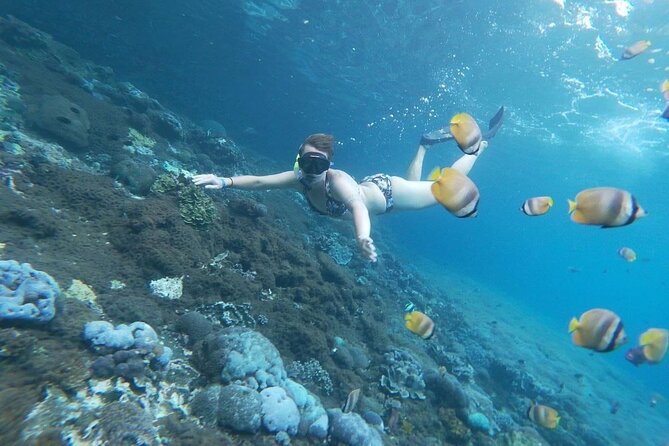 Bali Nusa Penida and Private Snorkeling (Manta Bay, Gamat, Wall) - Is $145 a fair price?