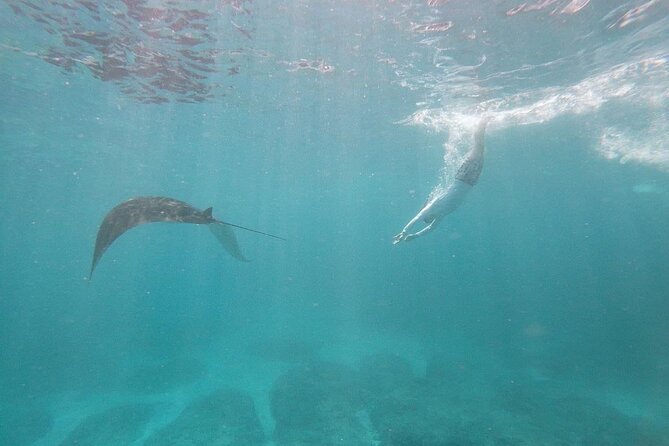 Bali Nusa Penida and Private Snorkeling (Manta Bay, Gamat, Wall) - Angel’s Billabong and the rocky coast