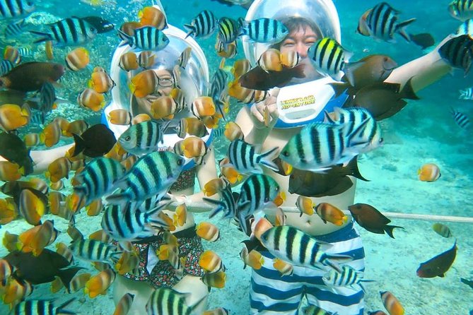 Bali Ocean Walker - Key points to know before booking