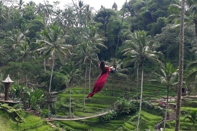 Bali Private 3 Days Tour Package Highlight - The private guide makes the packed schedule work