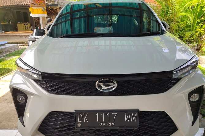 Bali Private Car and Customize Tour With English Speaking Driver - Monkey Forest, Rice Terraces, and the Ubud Photo Circuit