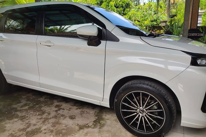 Bali Private Car and Customize Tour With English Speaking Driver - Mount Batur and Tirta Empul’s Holy Springs