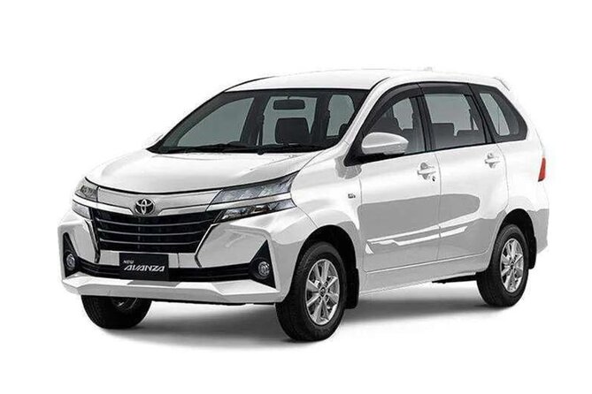 Bali Private Car Charter - What the driver adds to the day