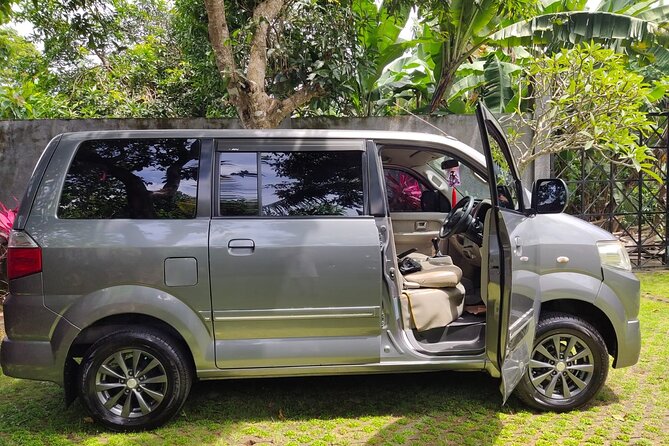 Bali Private Car Charter & Customize Tour With Driver English Speaking-Free WiFi - Tegalalang, swings, and coffee