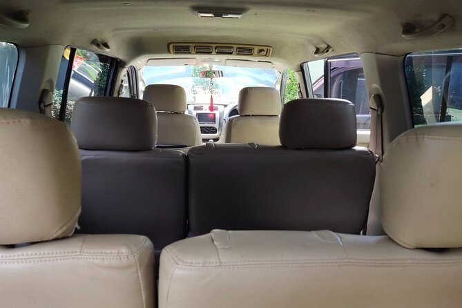 Bali Private Car Charter & Customize Tour With Driver English Speaking-Free WiFi - Tirta Empul and sacred water