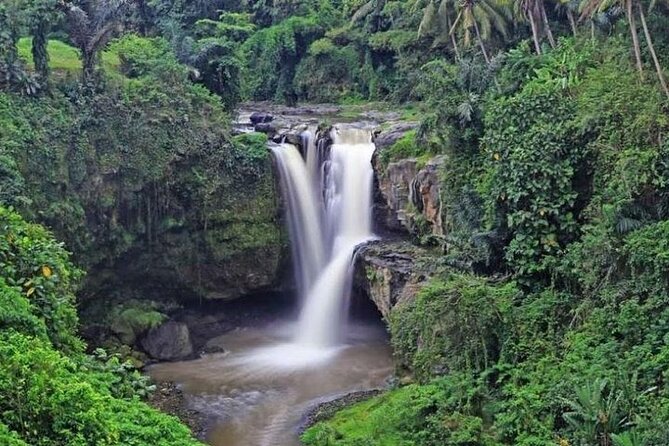 Bali Private Car Charter with English Speaking Driver Or Guide - Coffee, tea, and smaller local stops