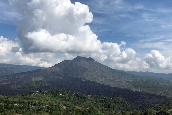 Bali Private Car Charter With English Speaking Driver To Ubud Area - Why the private car matters in Bali