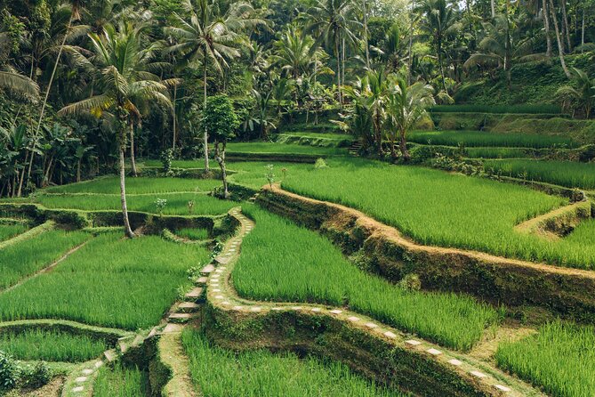 Bali Private Car Full Day Customized Tour With Drone Service - Southern Bali: Uluwatu and Jimbaran Bay