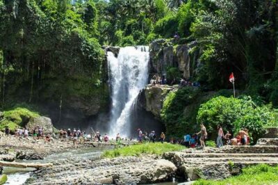 Bali Private Car Hire with Driver