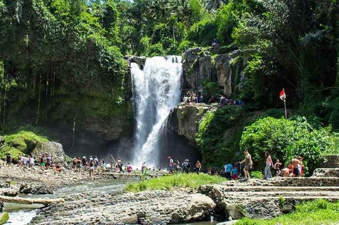 Bali Private Car Hire with Driver - Rice terraces, volcano views, and sacred springs