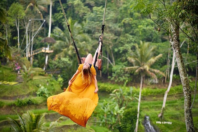 Bali Private Car Hire with English-Speaking Driver - Tegenungan Waterfall for a Cool Break