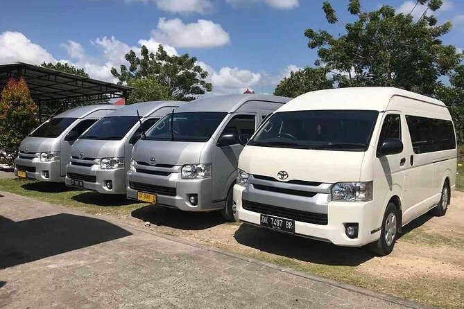 Bali Private Car Hire with English-Speaking Driver - What the Private Vehicle Adds
