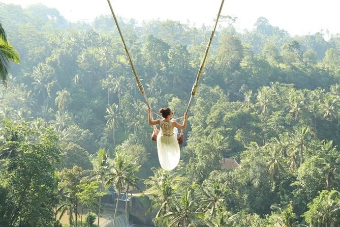 Bali Private Car Hire with English-Speaking Driver - Who Will Get the Most From This Day