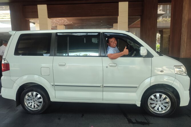 Bali Private Car Service with English Speaking Driver - Building a day around your own interests