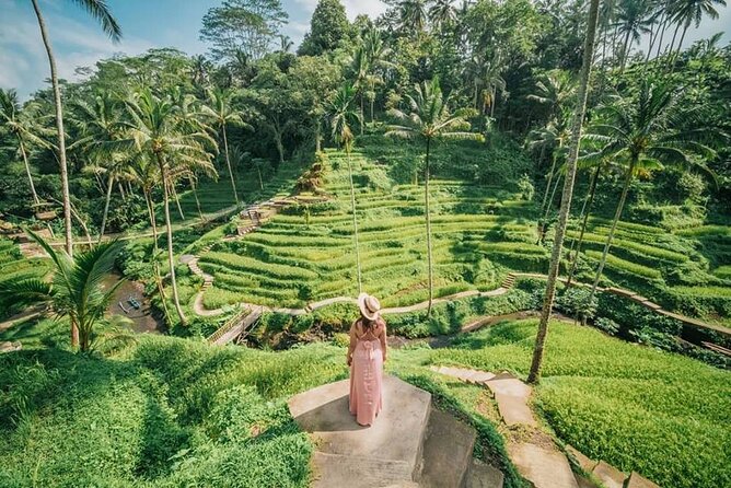 Bali Private Driver - Bali customized private tour - Ubud and Tegalalang for culture and rice terraces