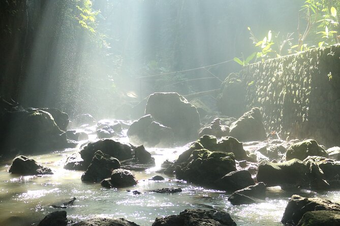 Bali Private Full Day Tour to Visit the Best Waterfalls and Swing near Ubud - The swing stop adds Bali’s polished photo side