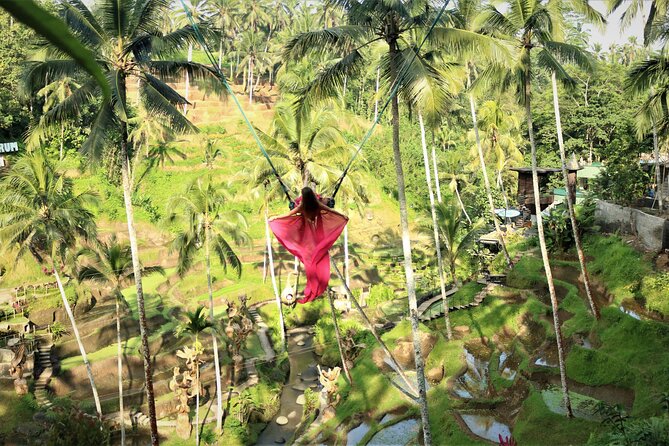 Bali Private Full Day Tour to Visit the Best Waterfalls and Swing near Ubud - Tegalalang Rice Terrace gives you the classic Ubud view