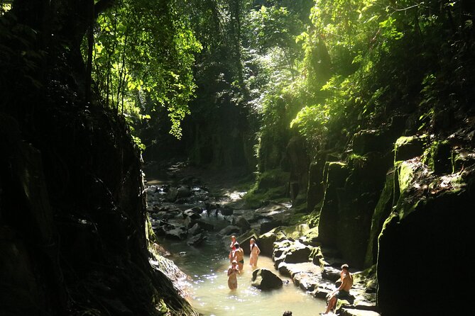 Bali Private Full Day Tour to Visit the Best Waterfalls and Swing near Ubud - Bali Pulina explains the coffee side of Bali