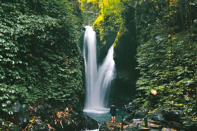 Bali : Private Fullday trip, Discover North Bali Destination - Banyuwana and the extra waterfall choices