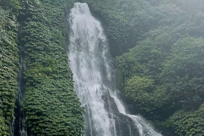 Bali : Private Fullday trip, Discover North Bali Destination - What the $38 price really offers