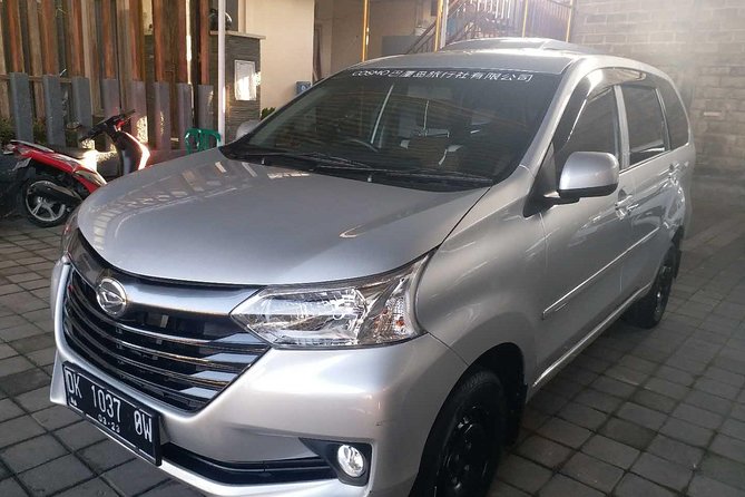 Bali Private Tour - Car with Driver - Planning your own route with driver advice