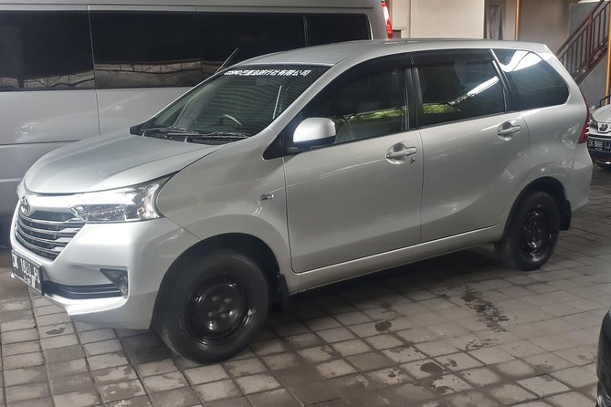 Bali Private Tour - Car with Driver - Who will get the most from this experience