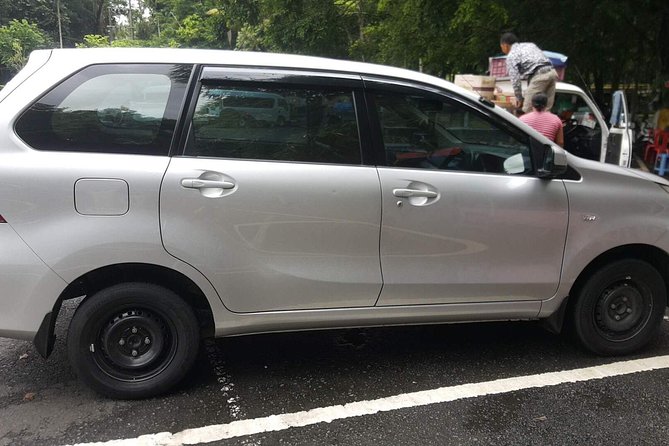 Bali Private Tour - Car with Driver - Practical booking advice for Nusa Dua